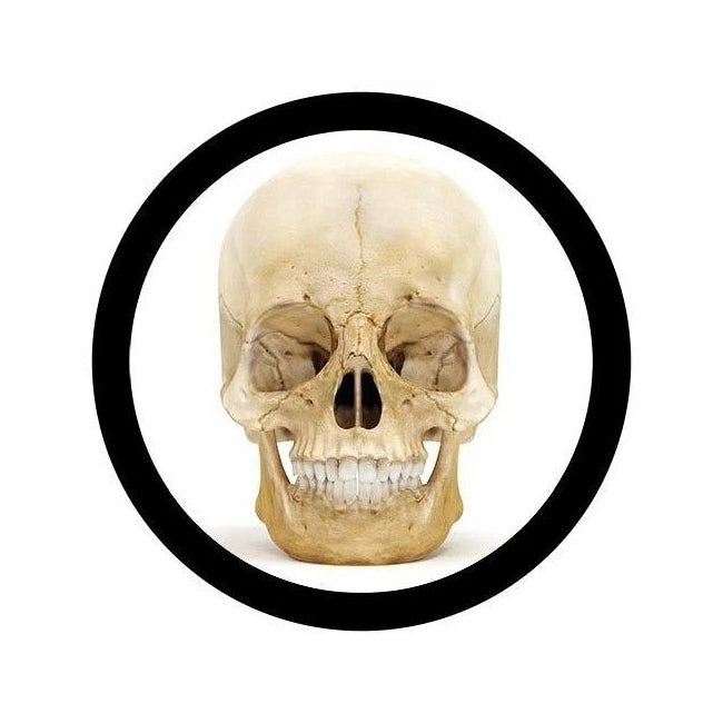 2PK Giant Microbes 8.8cm Skull Key Chain Hanging Bag/Tote Keyring