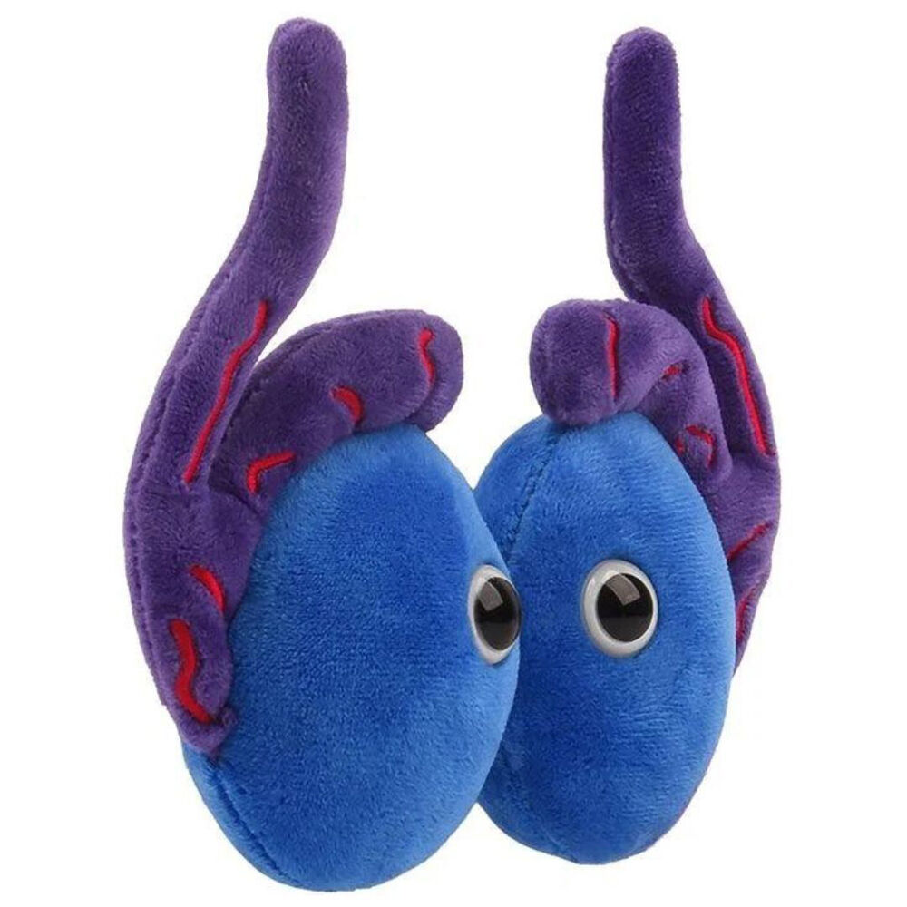 Giant Microbes Testicles Organ Educational Stuffed Science Plush Toy