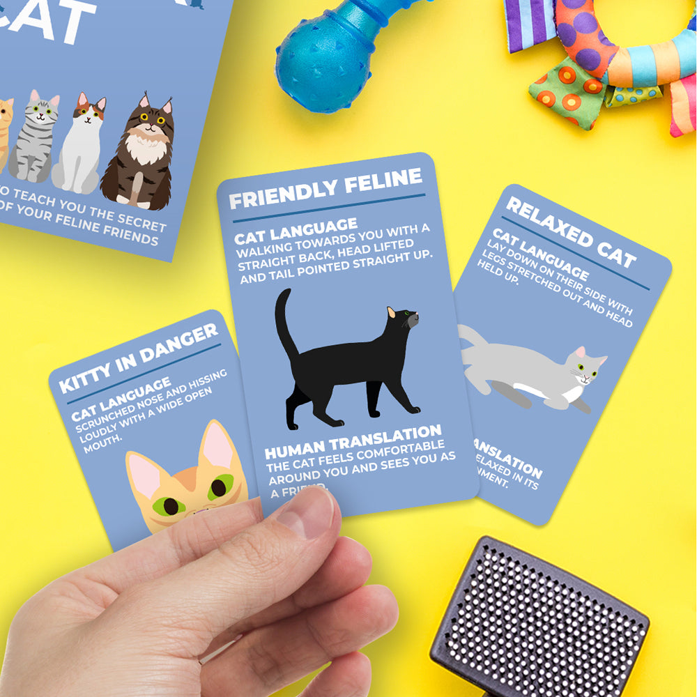 100pc Gift Republic How to Speak Cat Language Cards