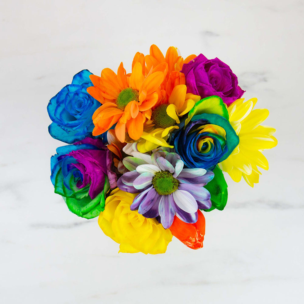 Gift Republic DIY Rainbow Flower Craft Kit w/ Tin Can Storage