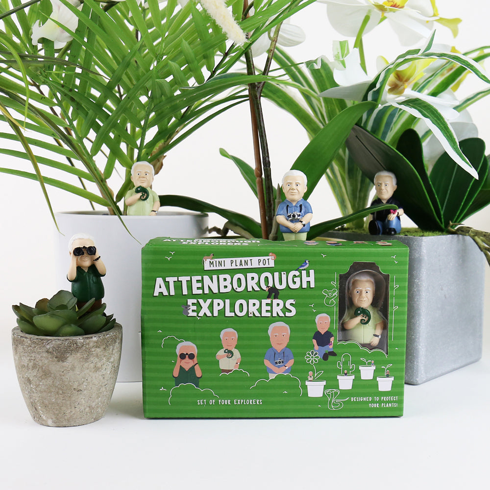 4pc Gift Republic 14.5cm Mini Plant Pot Attenborough Explorers Statues