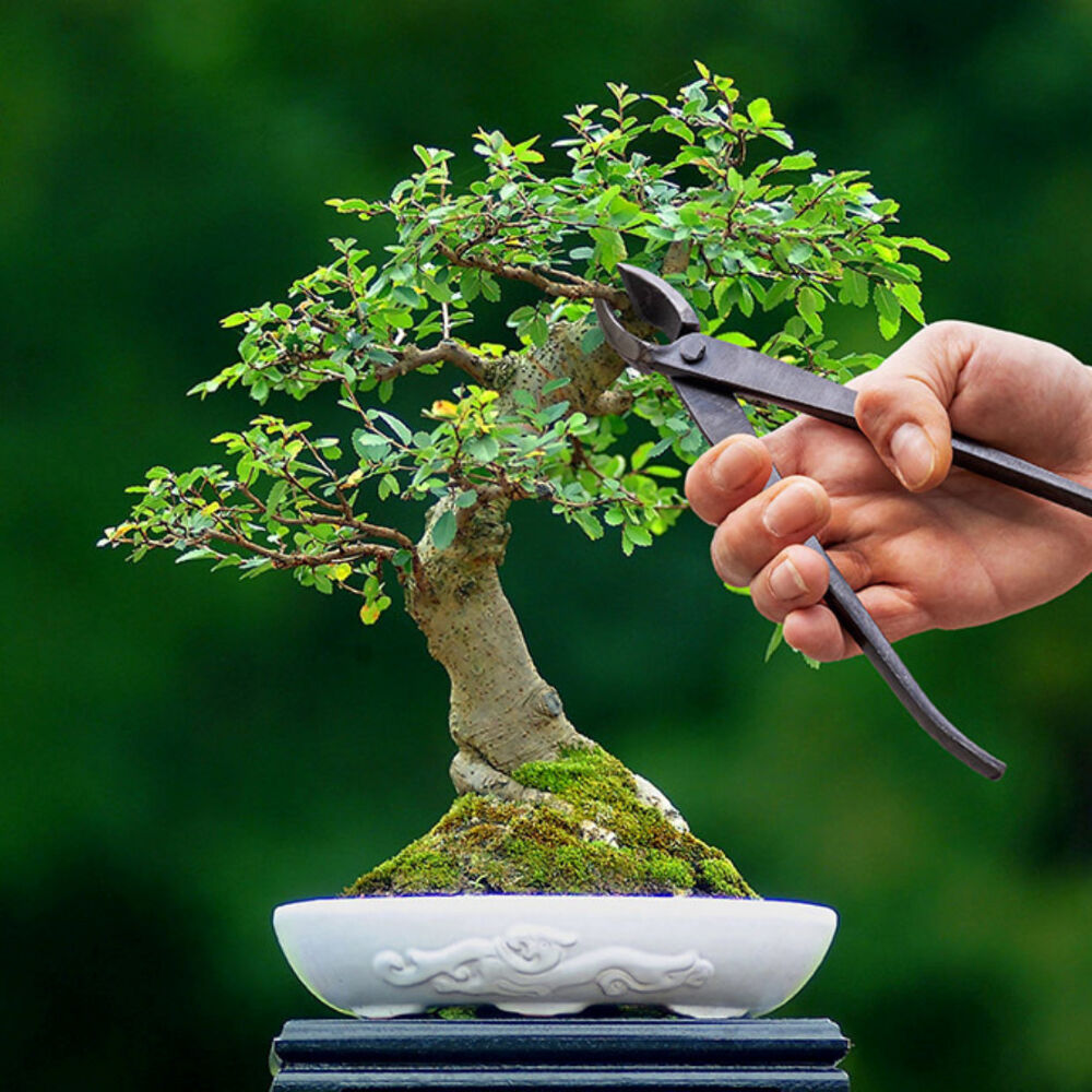 Esschert Design Bonsai Concave Branch Cutter Gardening Tool 20.2cm