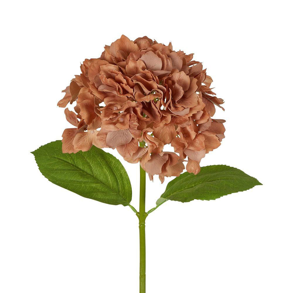 3PK Belle Hydrangea Artificial Floral Stem Soft Touch 50cm - Brown
