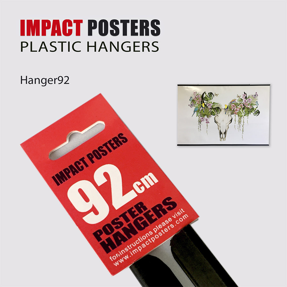 4PK Frames & Hangers Wall Art Magnetic Sleek Poster Hanger 92cm Pair
