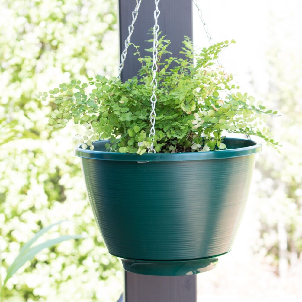 3PK Homeleisure Reko Flower/Plant Hanging Basket 25cm Green Garden