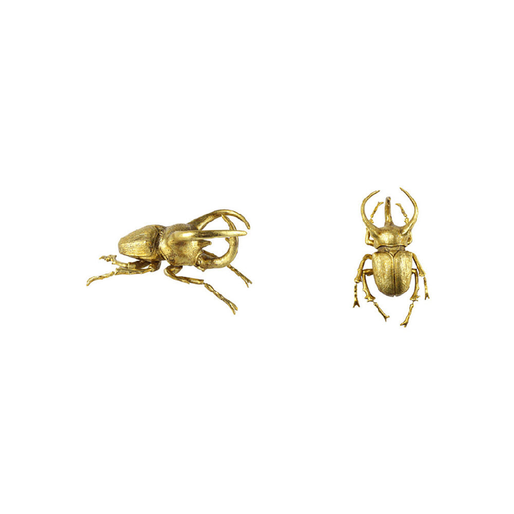 Darlin Beetle Wall Art Sculpture Home Office Table Decor 19x37cm Gold