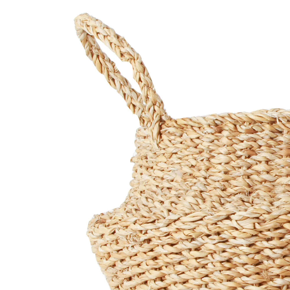 3pc Maine & Crawford Eddi 25/35/45cm Typha Belly Basket - Natural