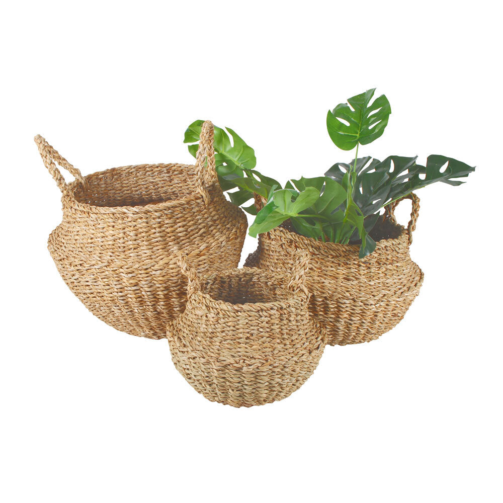 3pc Maine & Crawford Eddi 25/35/45cm Typha Belly Basket - Natural