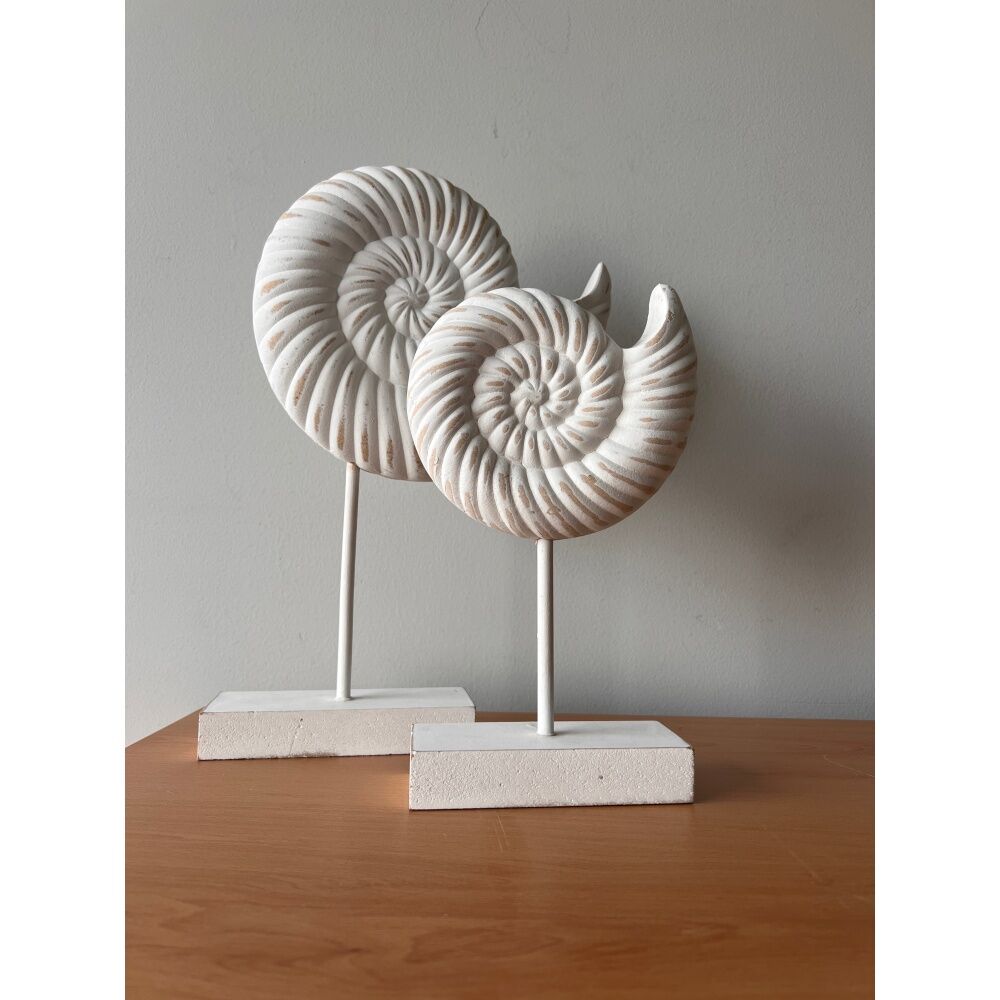 Maine & Crawford 7 Seas Wood 35cm Conch Shell On Stand - White