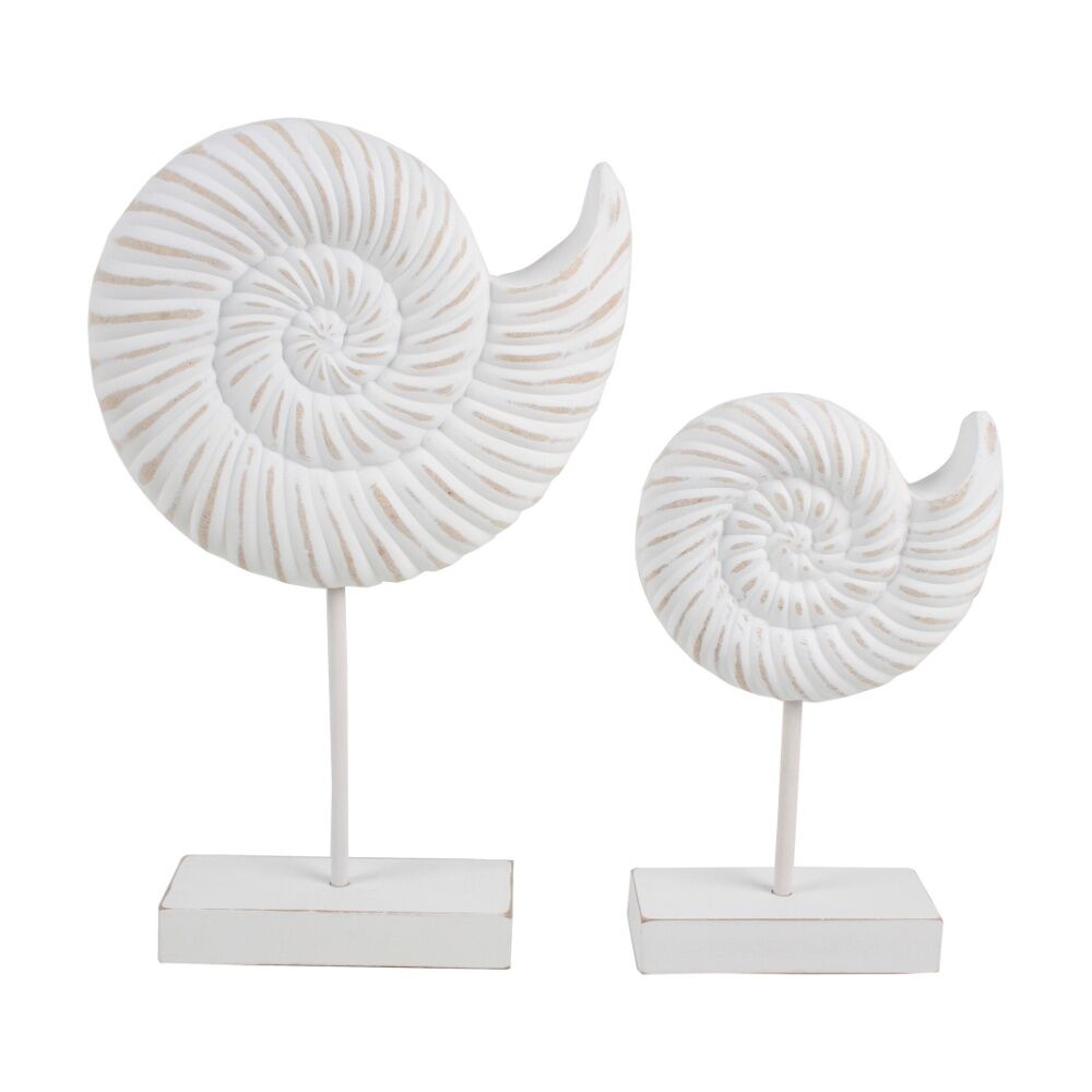 Maine & Crawford 7 Seas Wood 35cm Conch Shell On Stand - White
