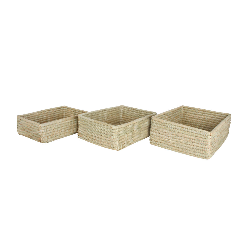 3pc Maine & Crawford Macquarie Palm Leaf Rectangle Basket Set - Natural