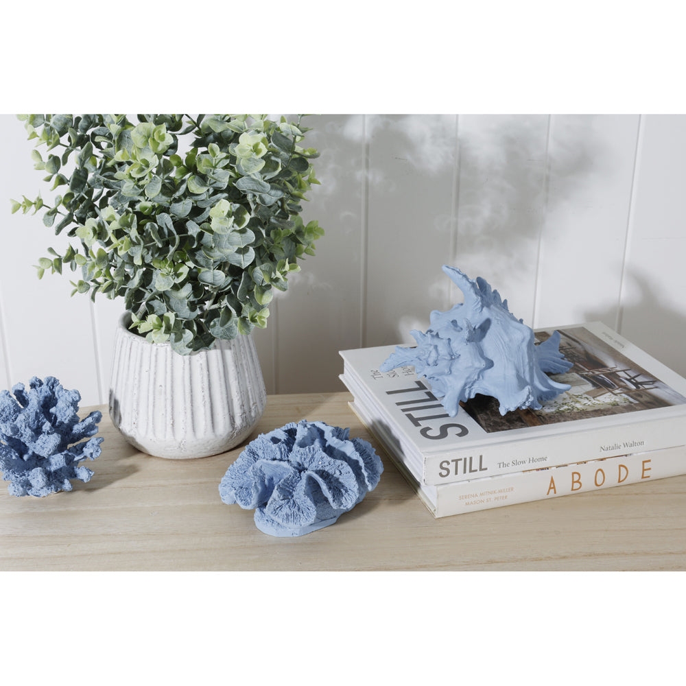 Maine & Crawford 7 Seas Resin 19cm Shell Ornament - Blue