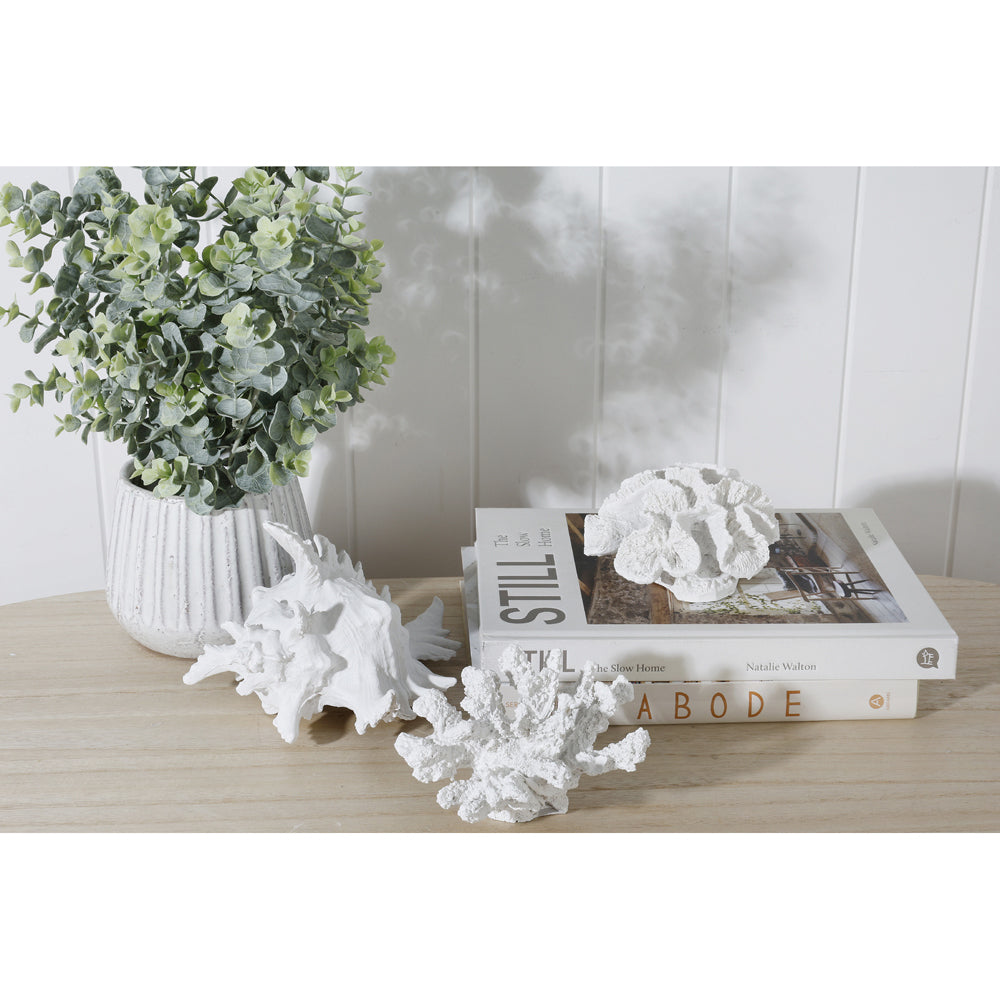 Maine & Crawford 7 Seas Resin 19cm Coral Ornament - White