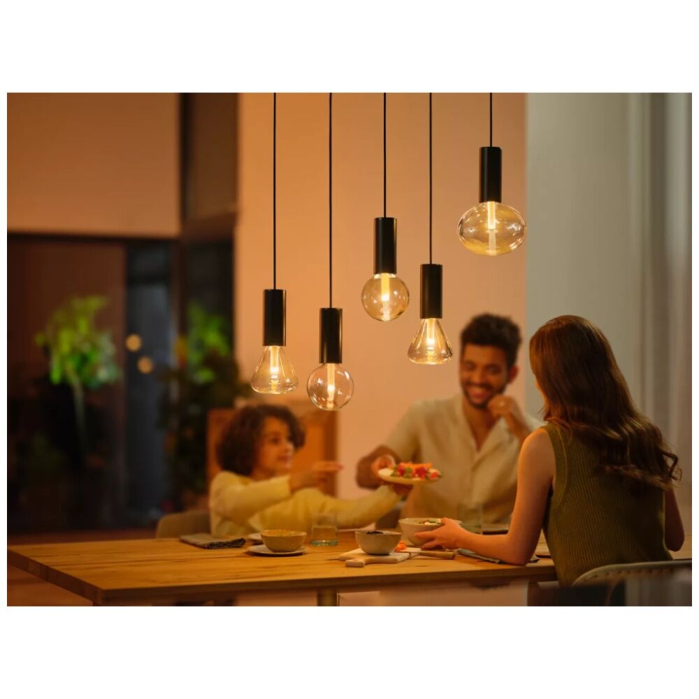 2PK Philips Hue White/Colour Ambience Lightguide G95 Smart LED Lightbulb E27