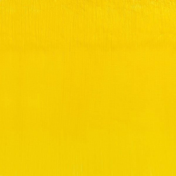 Winsor & Newton Artists Oil Colour 37ml Paint Tube Cad Free Lemon Series 4