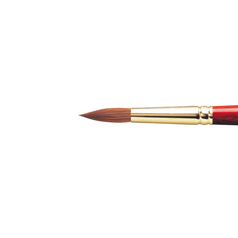 Winsor & Newton Sceptre Gold II Series 101 Round Paint Brush - Size 8