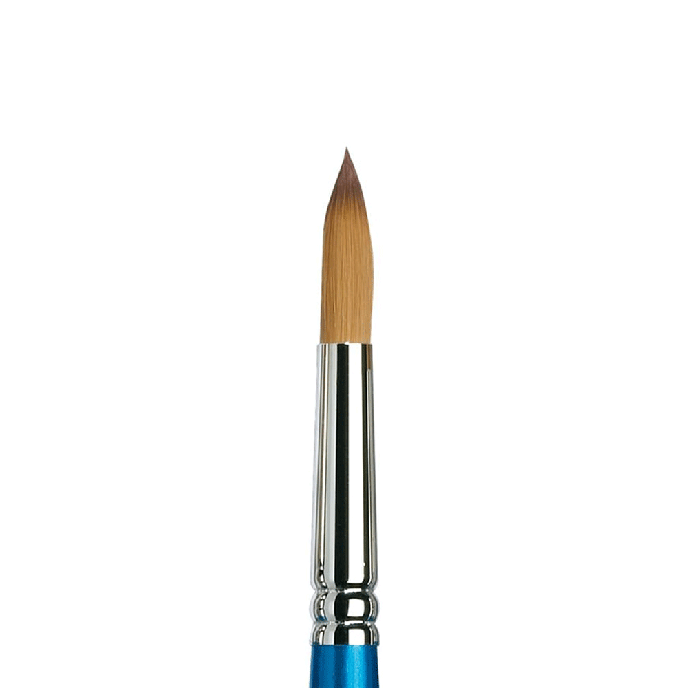 Winsor & Newton CWC Cotman Series 111 Round Paint Brush Short - Size 12