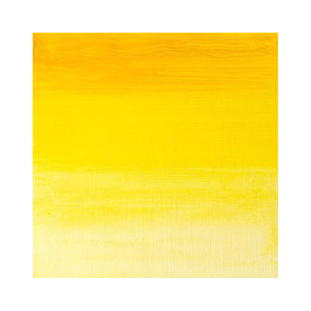 Winsor & Newton Artists Oil Colour 37ml Paint Tube Transparent Yellow S4