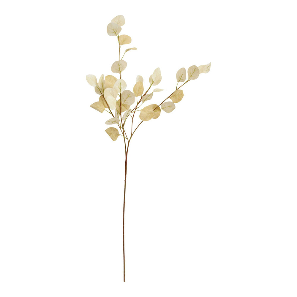 2PK LVD Stemmed 94cm Silver Dollar Artificial Plant - Natural