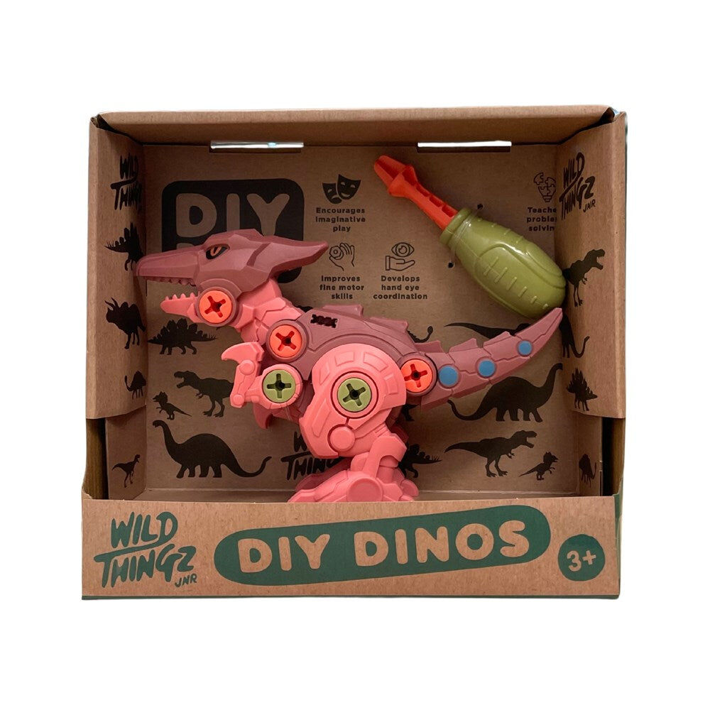 Johnco Wild Thingz DIY Dinosaur T-Rex/Triceratops/Pterosaur Kid's Playset 3Y+