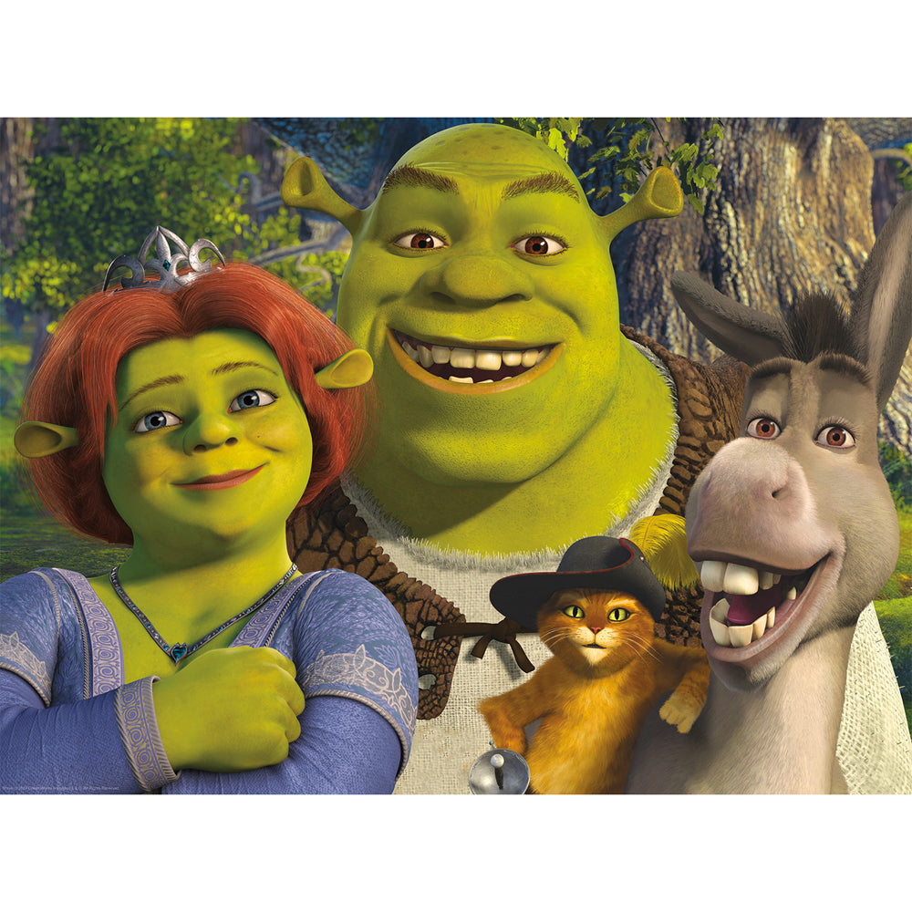 500pc Aquarius Shrek Family Jigsaw Puzzle Game 35x48cm