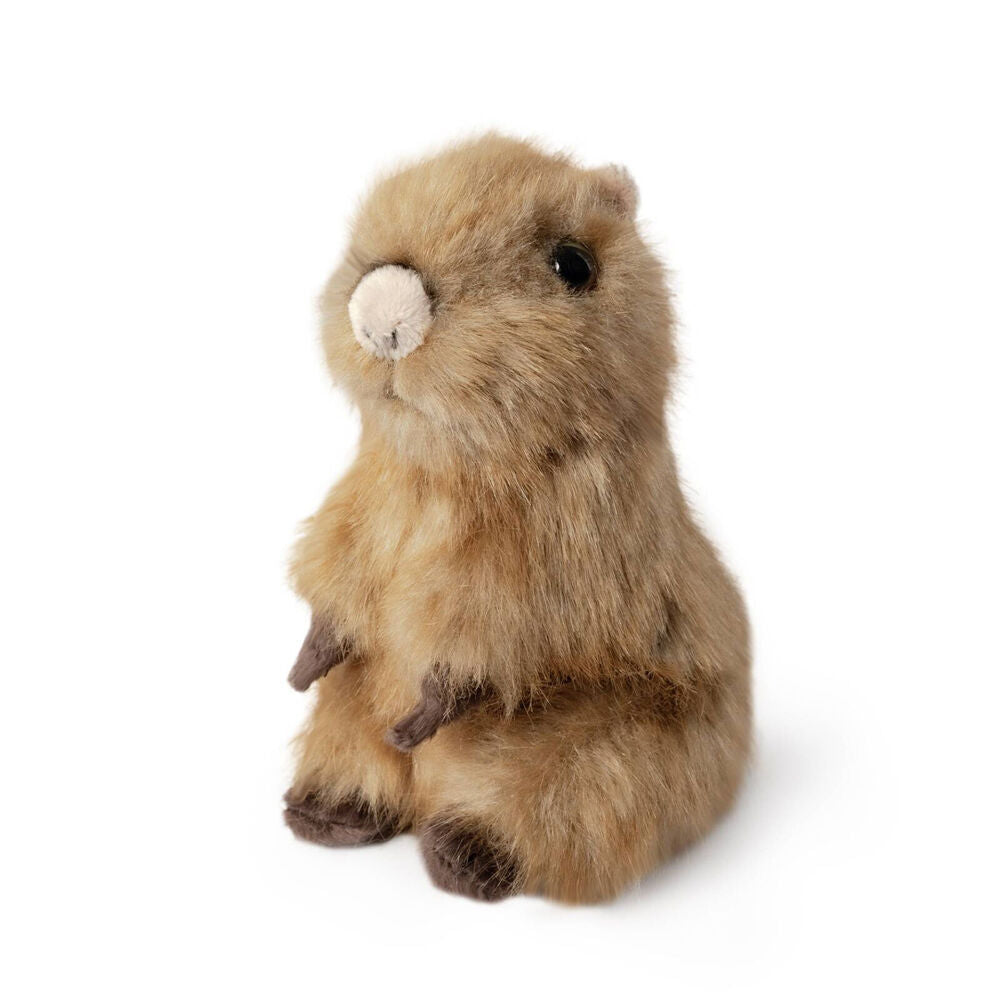 2pc Living Nature Small Chimp and Sitting Capybara Pup Plush Toy Set 0y+
