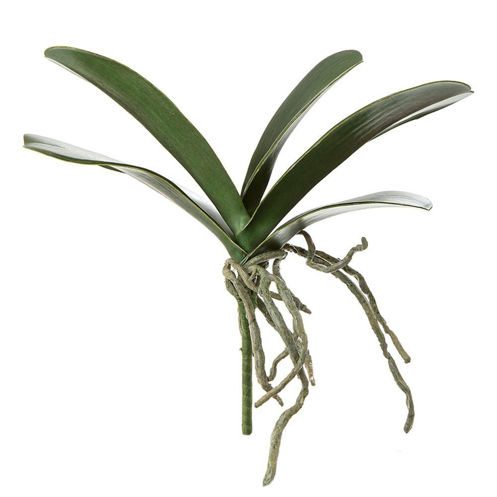 4PK Belle Orchid Leaf Plastic 24cm Artificial Plant - Green