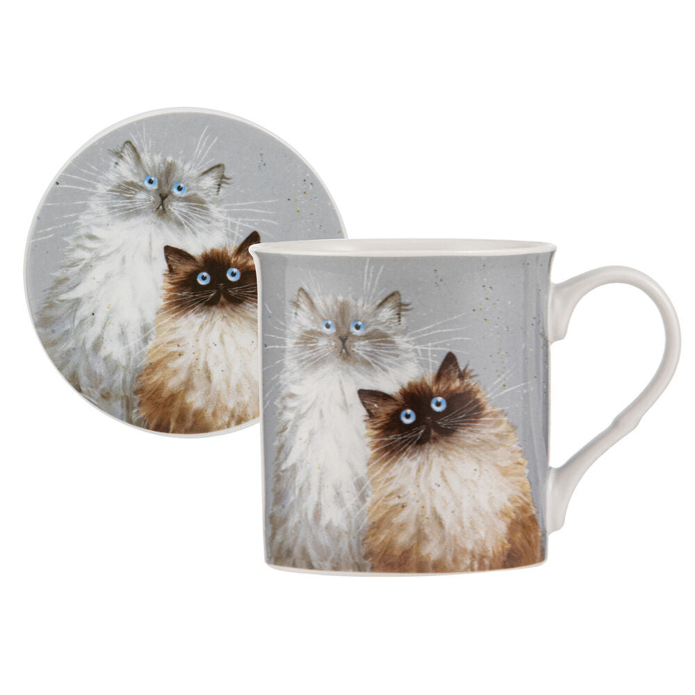 4PK Ashdene Kim's Cats Sully & Bucky New Bone China Mug Coaster Set 330ml Blue