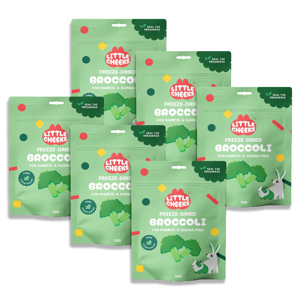 6PK Little Cheeks Sealed Freeze Dried Broccoli Rabbit/Guinea Pig Food Treats 10g