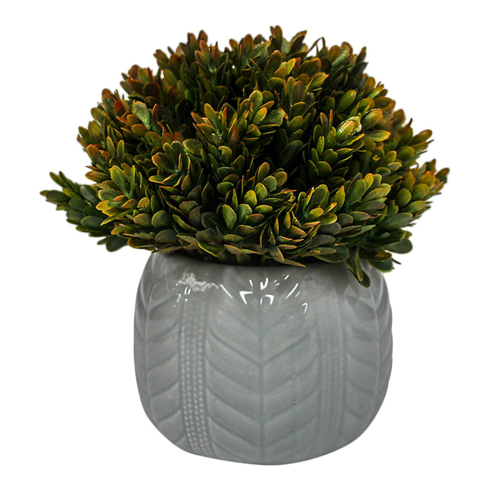 2PK LVD Potted 17cm Formal Moss Artificial Faux/Fake Plant Small - Red