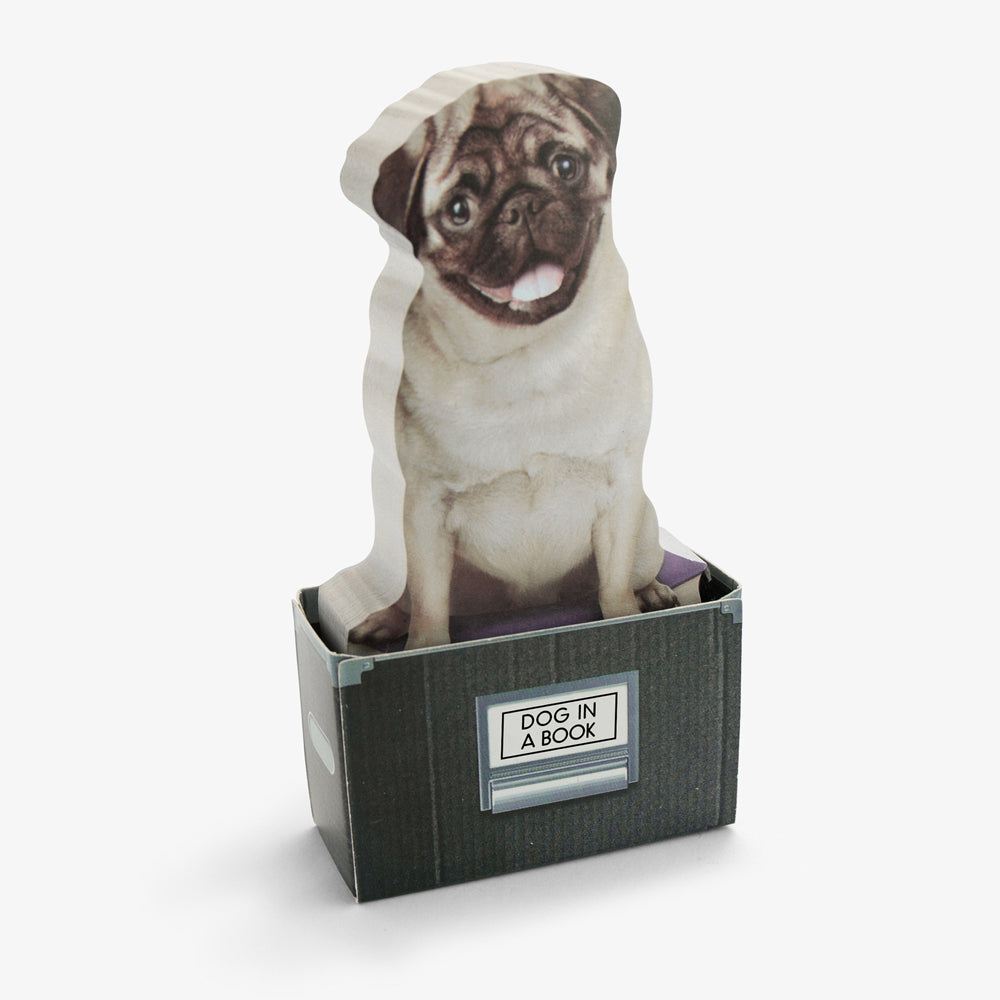 300pc Mustard Dog In A Box Sticky Notes Sheets Stationery