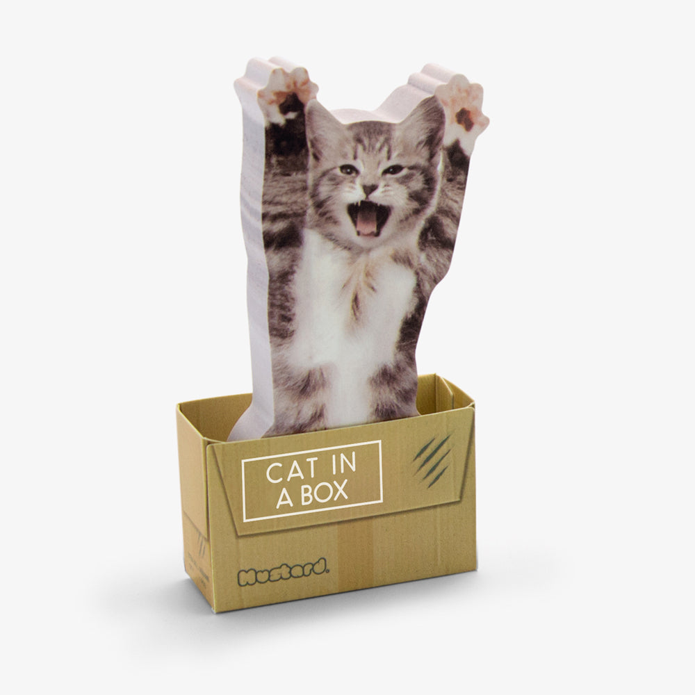 300pc Mustard Cat In A Box Sticky Notes Sheets Stationery