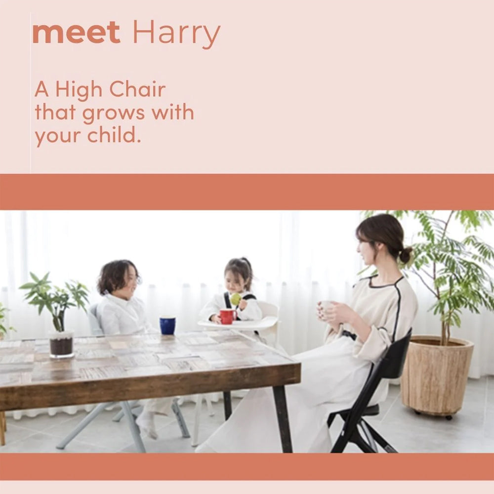 Babystudio Harry Lifetime Adjustable Kids/Childrens High-Chair Grey 6m+
