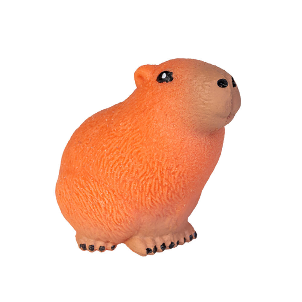 6PK Capybara Grow a Capybara Kids Activity Fun Play Interactive Toy