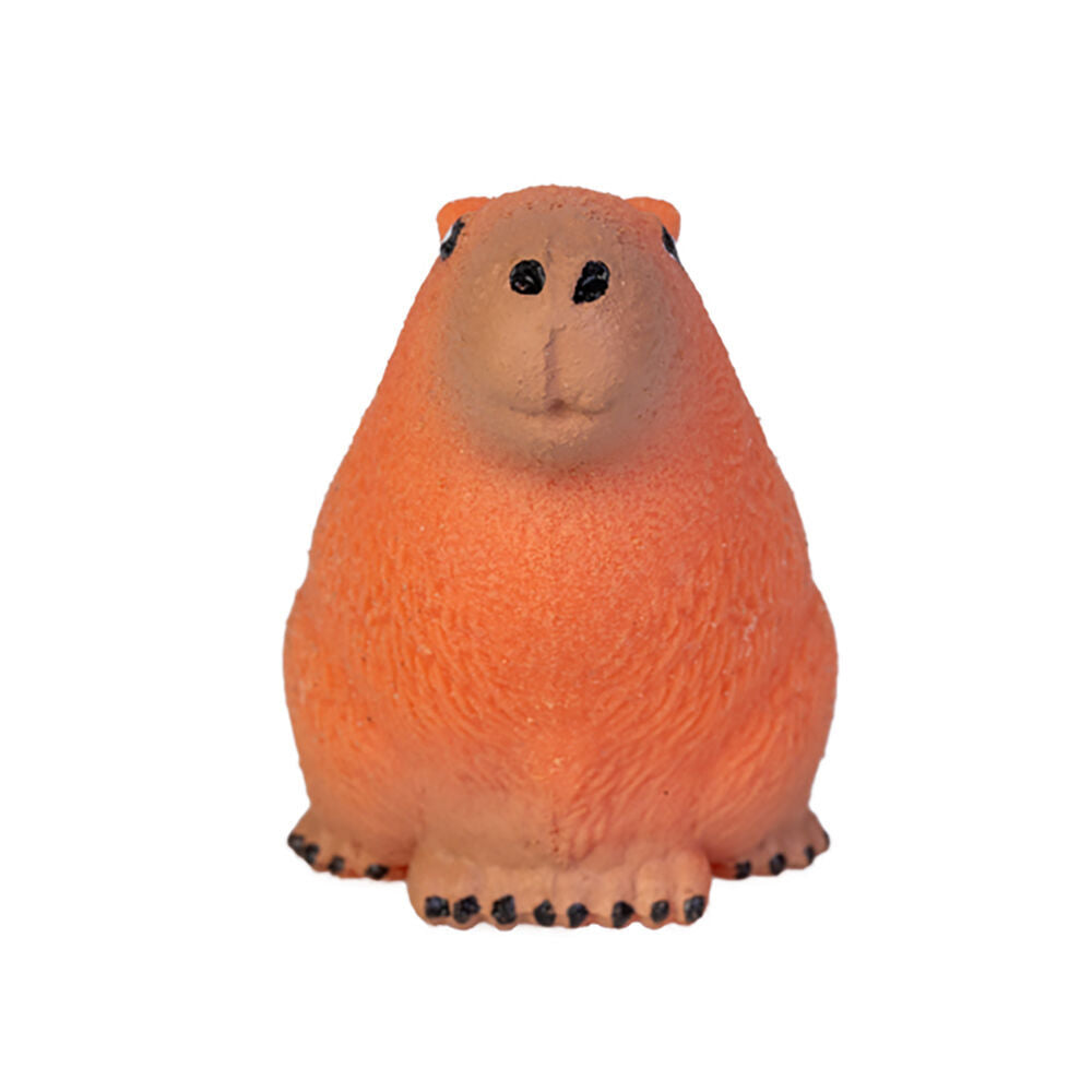 6PK Capybara Grow a Capybara Kids Activity Fun Play Interactive Toy