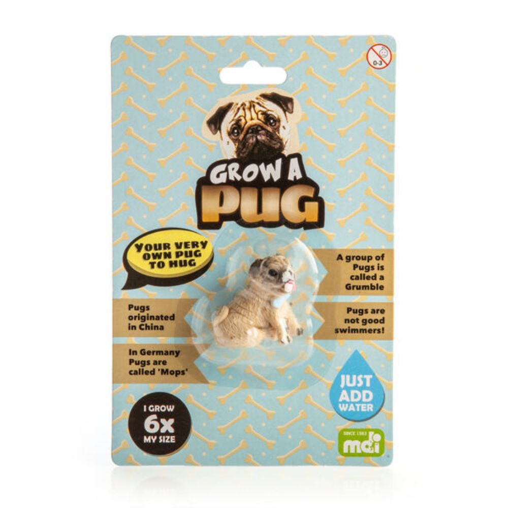 6PK PUG Grow a Pug Kids Activity Fun Play Interactive/Educational Toy