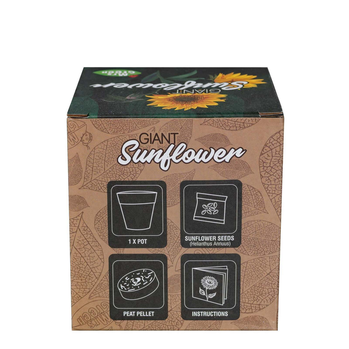 2PK Mrs Green Grow Your Own Giant Sunflower Growing Kit