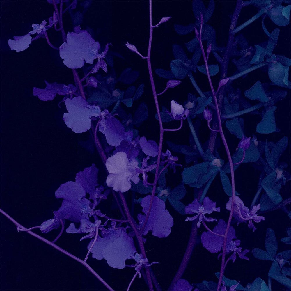 Studio Milligram Sensory 220g Scented Candle Ultra Violet