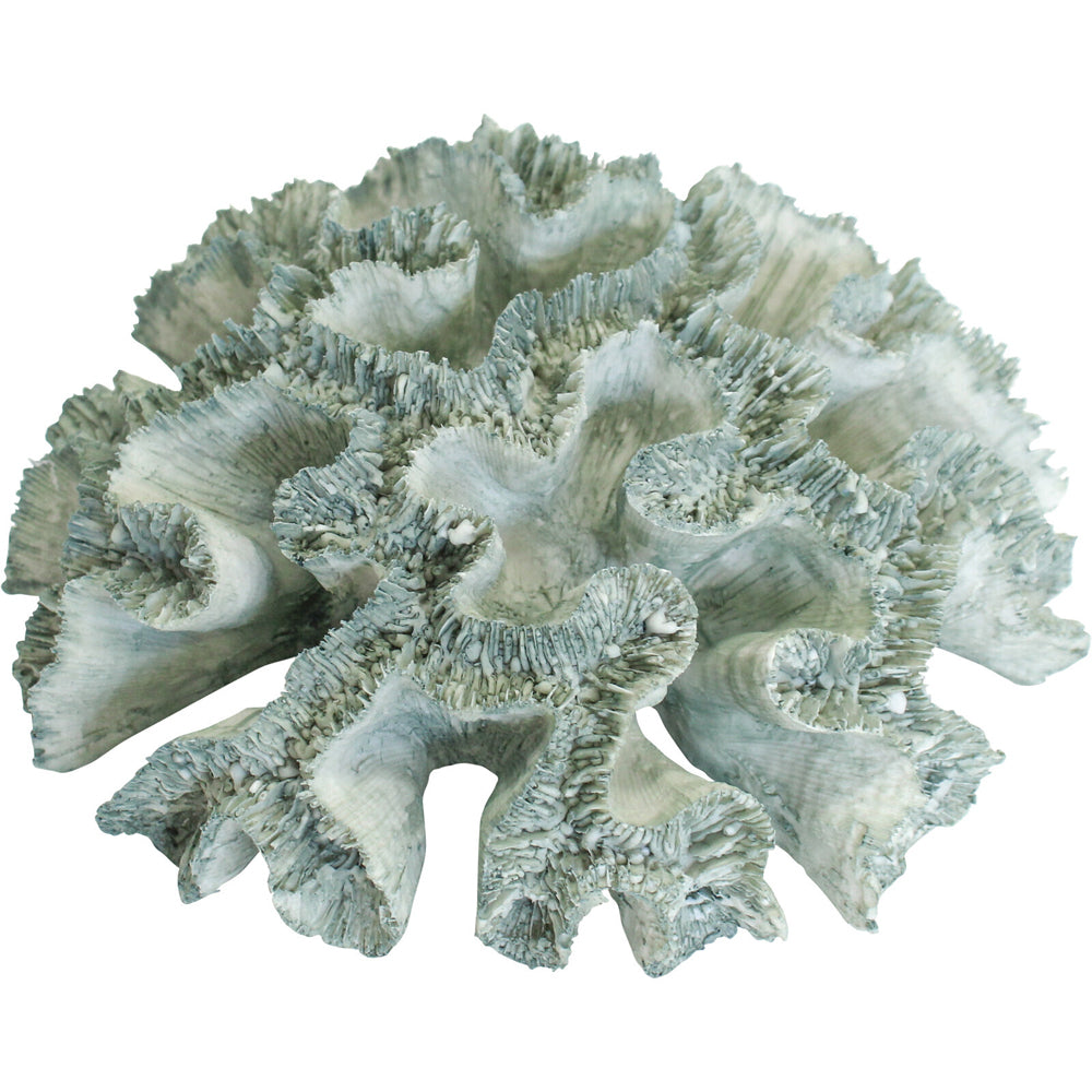 LVD Decorative Polyresin 20cm Colt Sea Coral Home Decor - Green