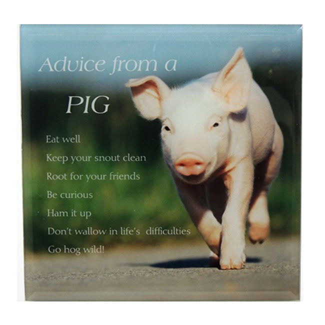 2PK Advice From A Pig Hanging Ceramic Sign Plaque 15cm Square