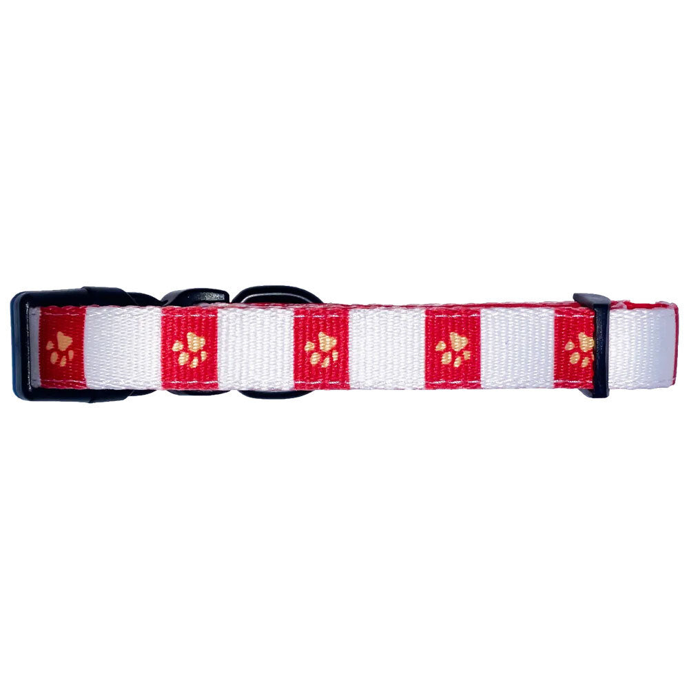 The Stubby Club Dolphins - NRL Pet Nylon Collar - Small