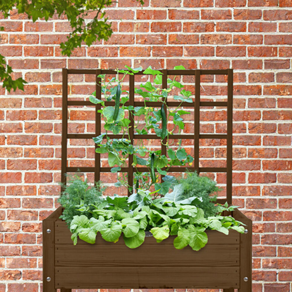 Esschert Design Garden Wooden Bed Plant Trellis Outdoor Home Decor 84.9cm Brown