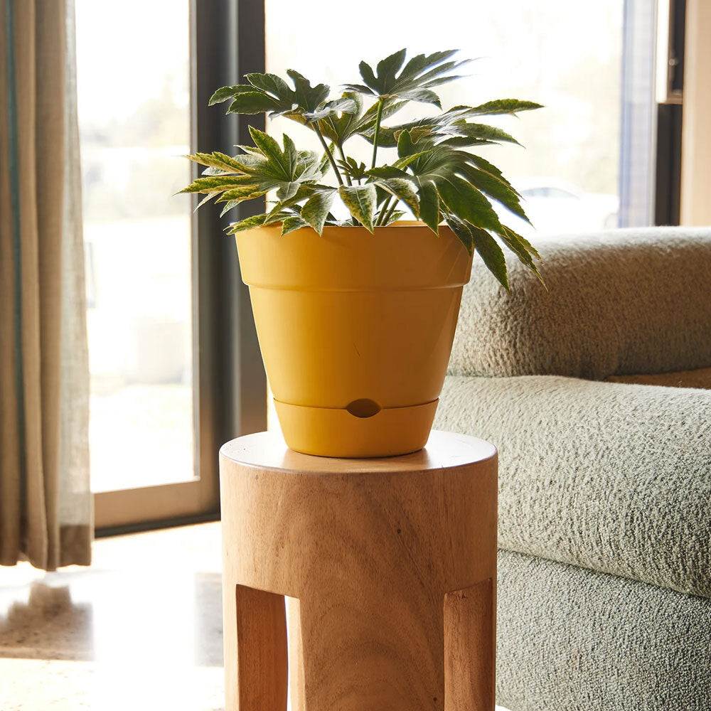 Northcote Pottery Leonard 38x34cmSelf Watering yellow