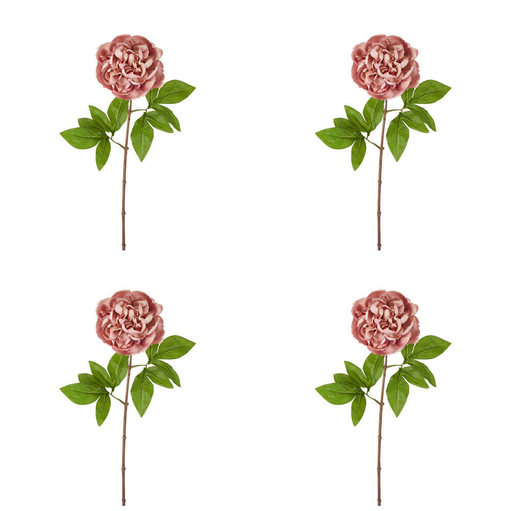 4PK Belle Dried Look Peony Stem Artificial Flower 61cm - Pink