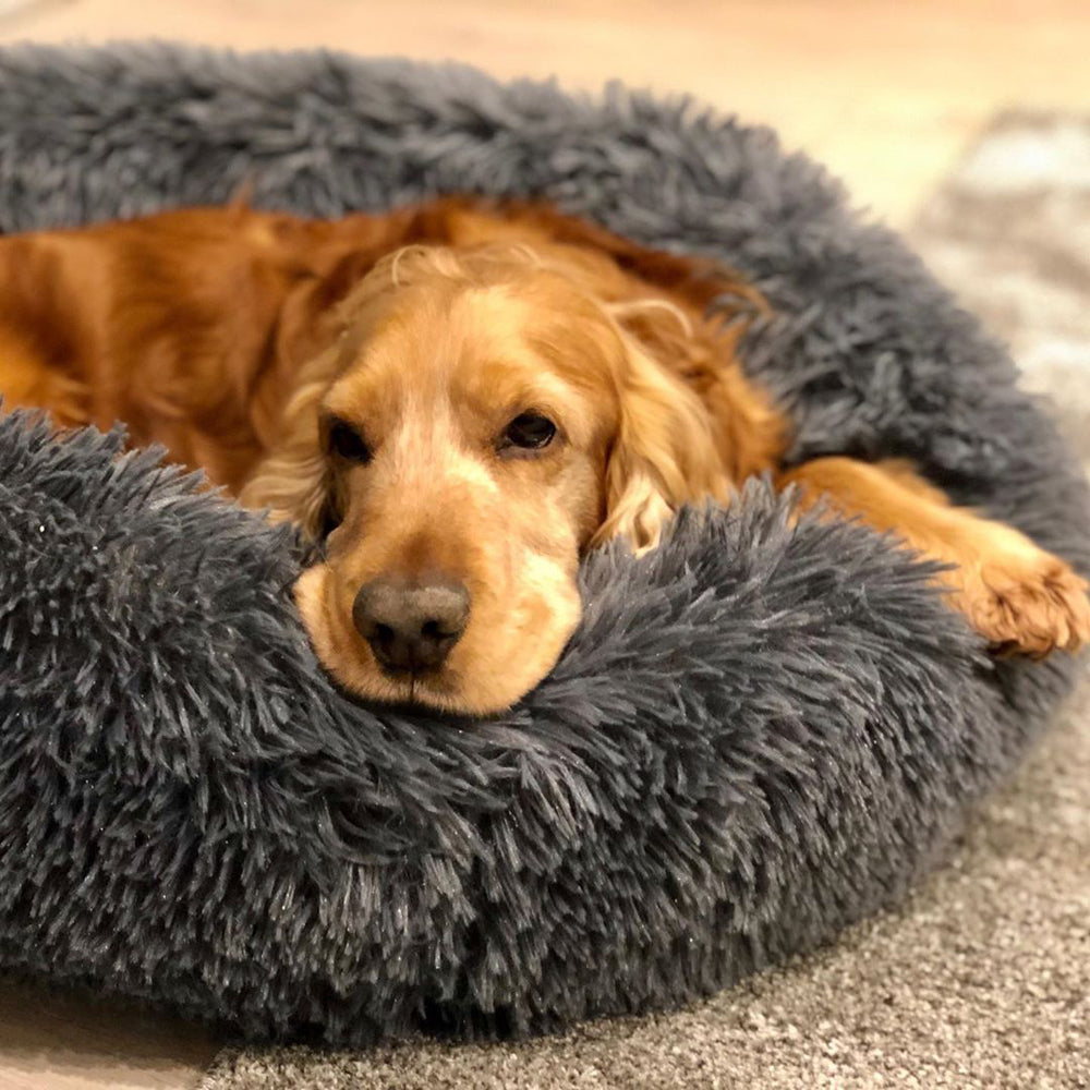 Pro Pet Anti-Anxiety 70cm Premium Calming Dog Bed - Assorted