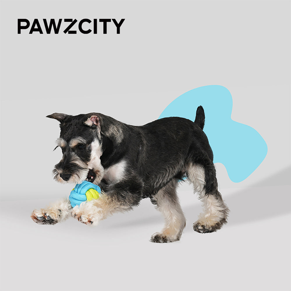 2PK Pawzcity 8cm Pet Dog Rope Ball Interactive Toy - Manhattanhenge