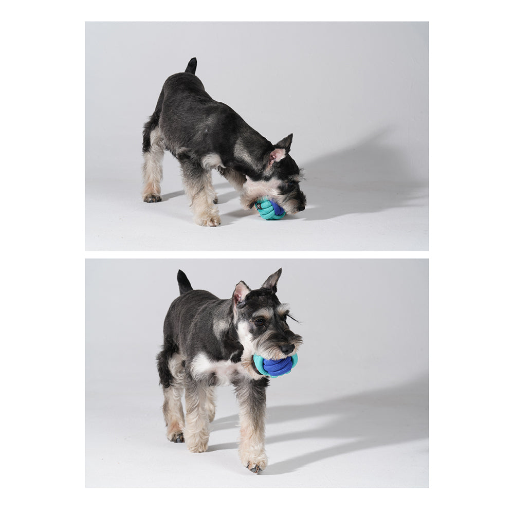 2PK Pawzcity 8cm Pet Dog Rope Ball Interactive Toy - Manhattanhenge