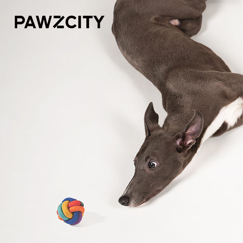 2PK Pawzcity Rainbow Dare To Love 8cm Interactive Rope Ball Cat/Dog Toy