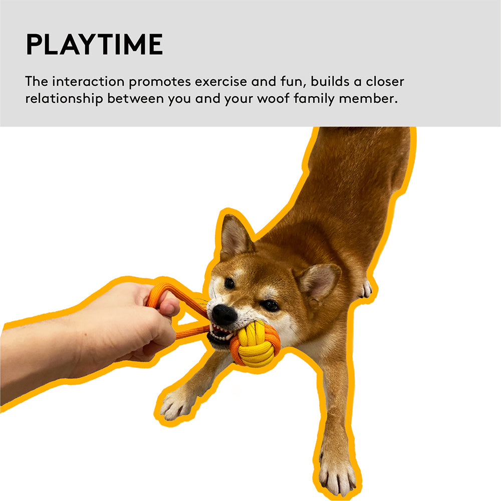 2PK Pawzcity 21cm Interactive Rope Ball w/ Loop - Bergamot