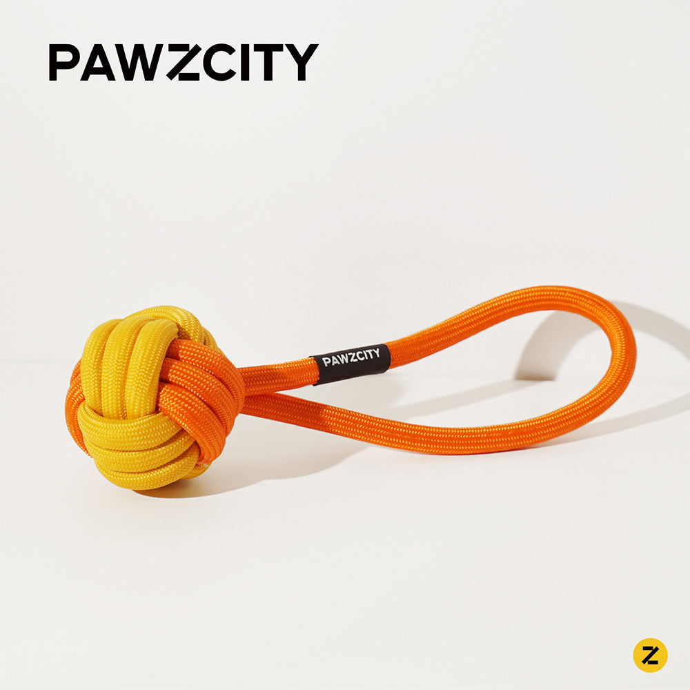 2PK Pawzcity 21cm Interactive Rope Ball w/ Loop - Bergamot
